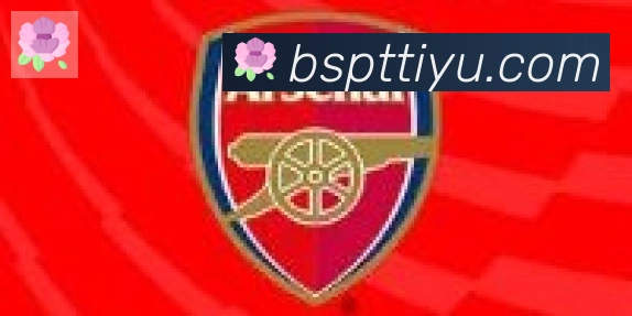 B体育合作伙伴